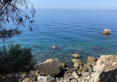 Viber Image 2025 06 07 15 33 59 425